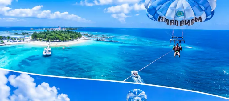 f14c0822-4d57-47a1-b5d7-f76a62654cbb.webp